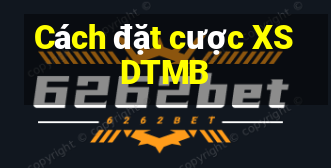 Cách đặt cược XSDTMB