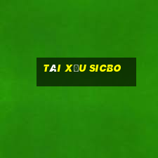 tài xỉu sicbo