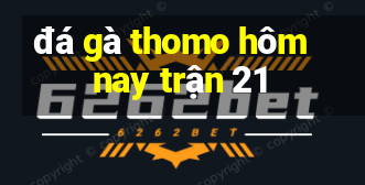 đá gà thomo hôm nay trận 21