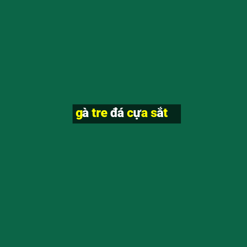 gà tre đá cựa sắt