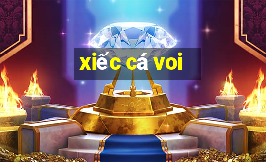 xiếc cá voi