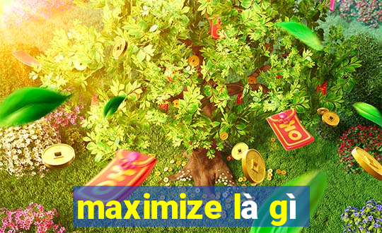 maximize là gì