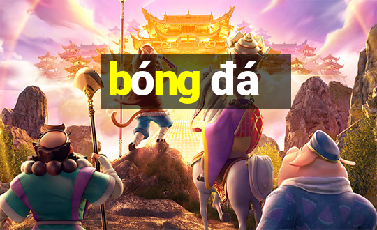 bóng đá