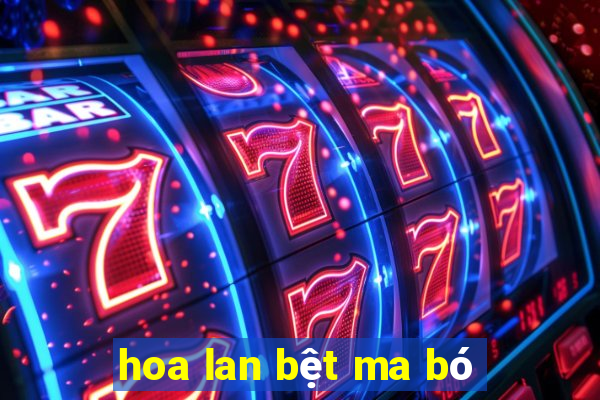 hoa lan bệt ma bó