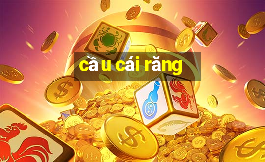 cầu cái răng