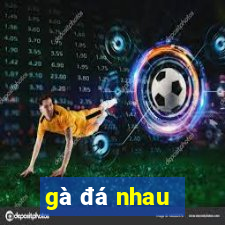 gà đá nhau