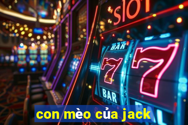 con mèo của jack