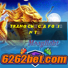 Trang chủ của fg điện tử