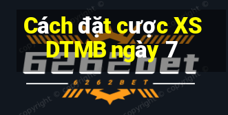 Cách đặt cược XSDTMB ngày 7