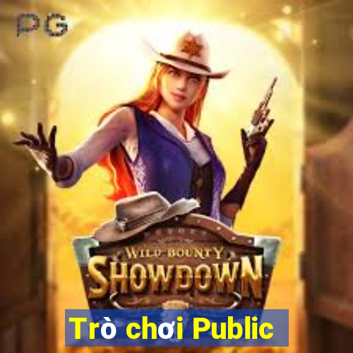 Trò chơi Public