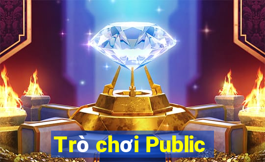 Trò chơi Public