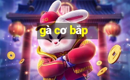 gà cơ bắp