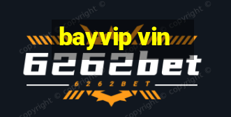 bayvip vin