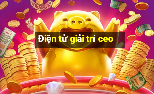 Điện tử giải trí ceo