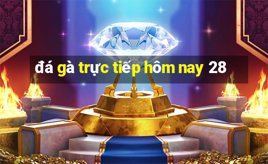 đá gà trực tiếp hôm nay 28