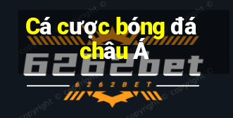 Cá cược bóng đá châu Á