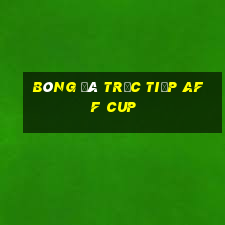 bóng đá trực tiếp aff cup