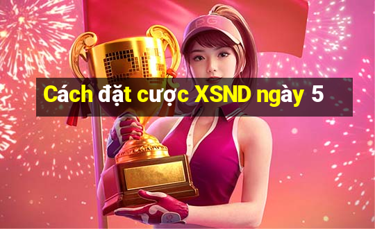 Cách đặt cược XSND ngày 5