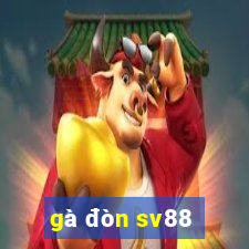 gà đòn sv88