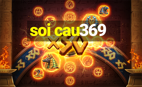 soi cau369