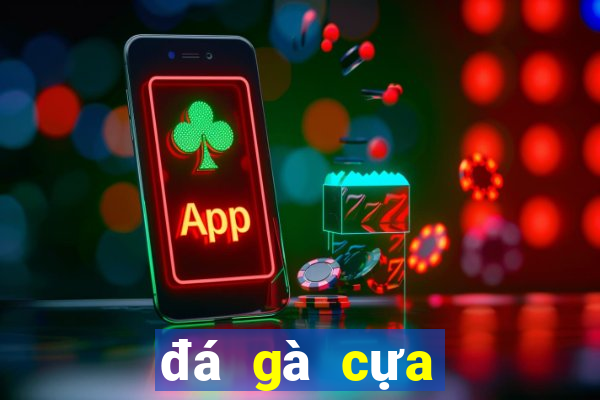 đá gà cựa sắt trực tiếp