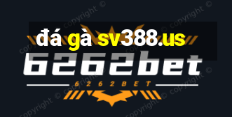 đá gà sv388.us