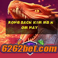 rong bach kim mb hom nay