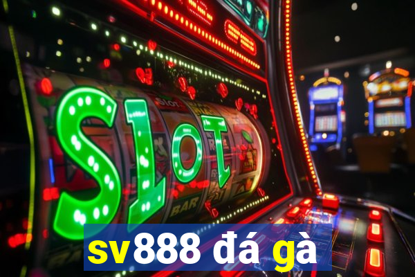 sv888 đá gà