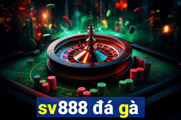 sv888 đá gà