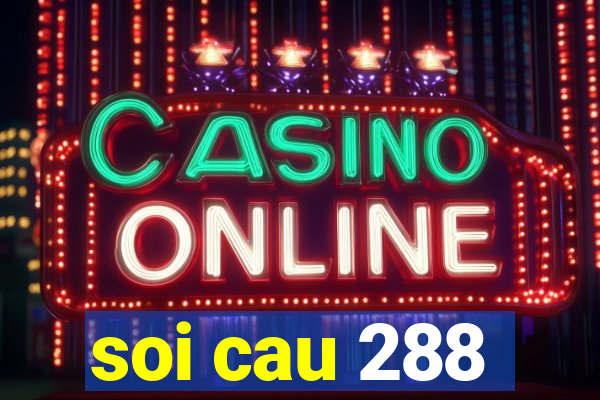 soi cau 288