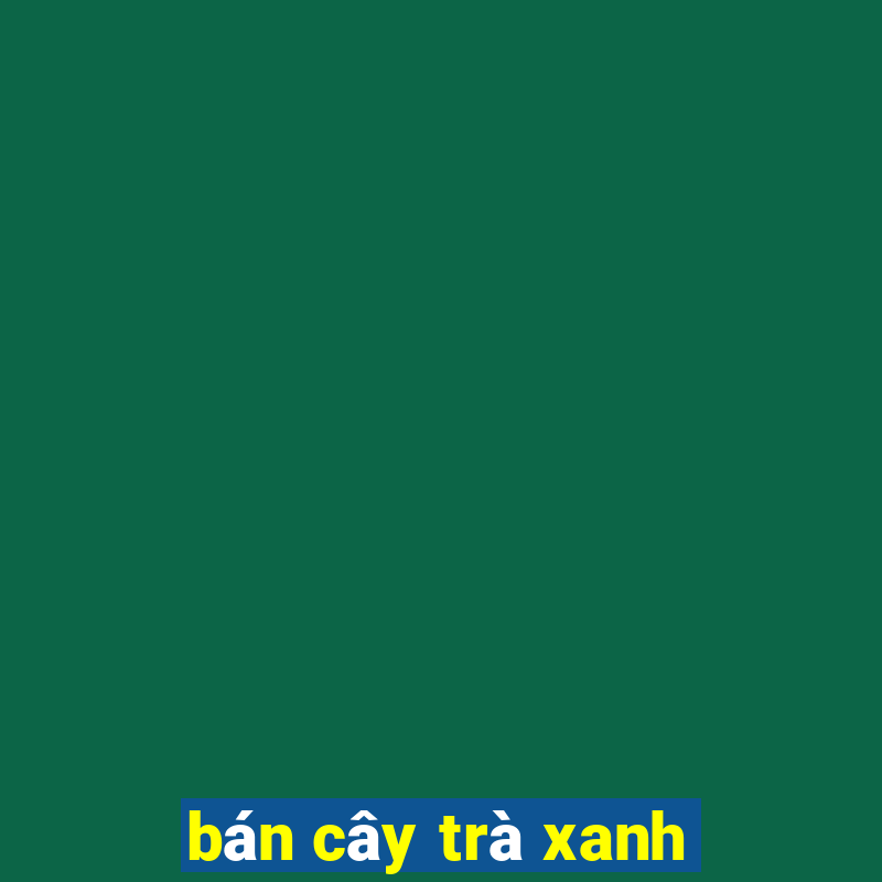 bán cây trà xanh