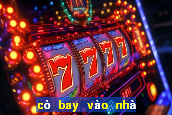 cò bay vào nhà là điềm gì