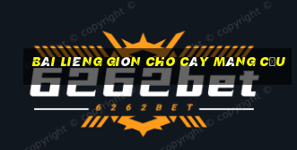 Bài Liêng giòn cho cây mãng cầu