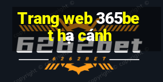 Trang web 365bet hạ cánh