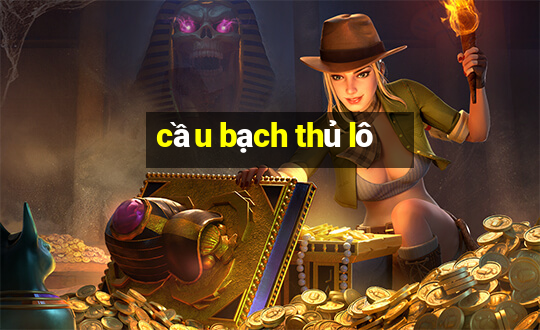 cau bach thu lo