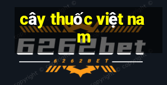 cây thuốc việt nam