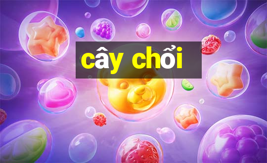 cây chổi