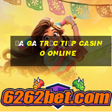 đá gà trực tiếp casino online