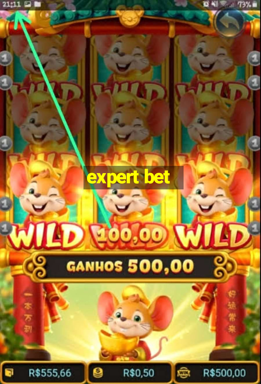 expert bet