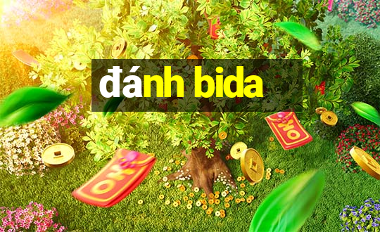 đánh bida