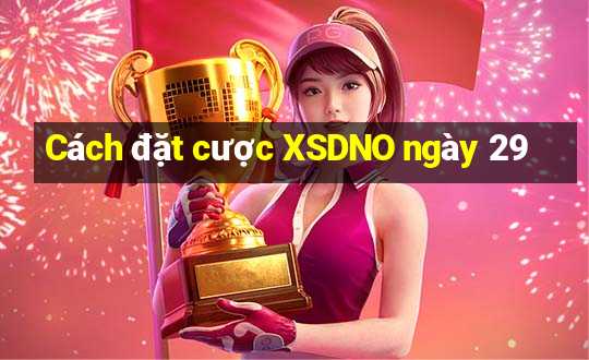 Cách đặt cược XSDNO ngày 29