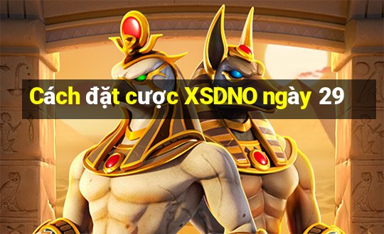 Cách đặt cược XSDNO ngày 29