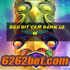 dau dit cam danh lo gi