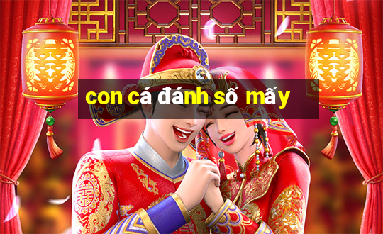 con cá đánh số mấy