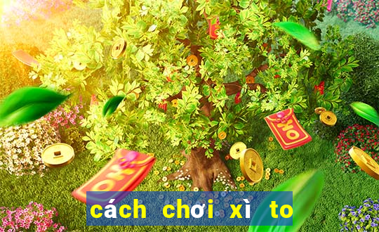 cách chơi xì to 5 cây bịp