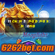 11 Chọn 5 ứng dụng Sơn Đông