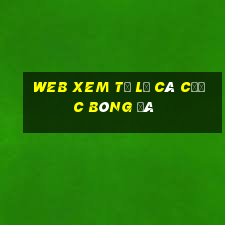 web xem tỷ lệ cá cược bóng đá