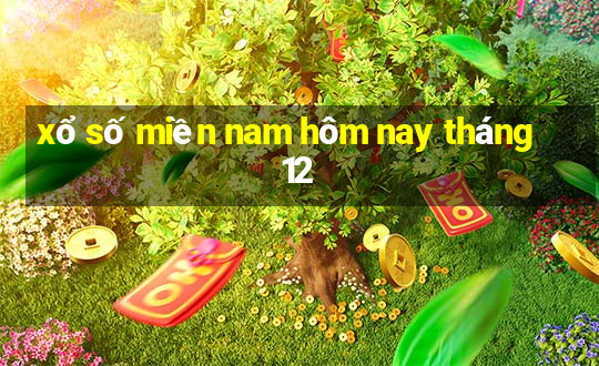 xổ số miền nam hôm nay tháng 12