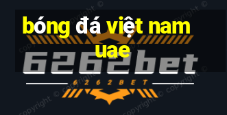 bóng đá việt nam uae