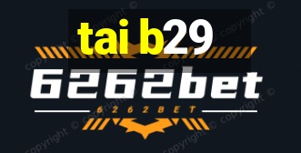 tai b29